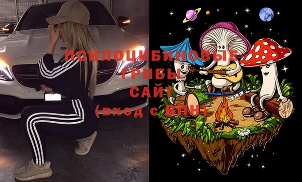 бошки Бородино
