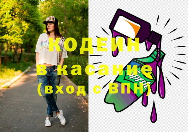 бошки Бородино