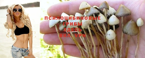 бошки Бородино