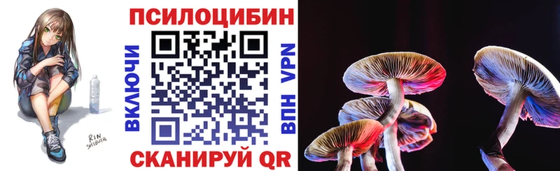 kraken ТОР  Катайск  Галлюциногенные грибы Psilocybe 
